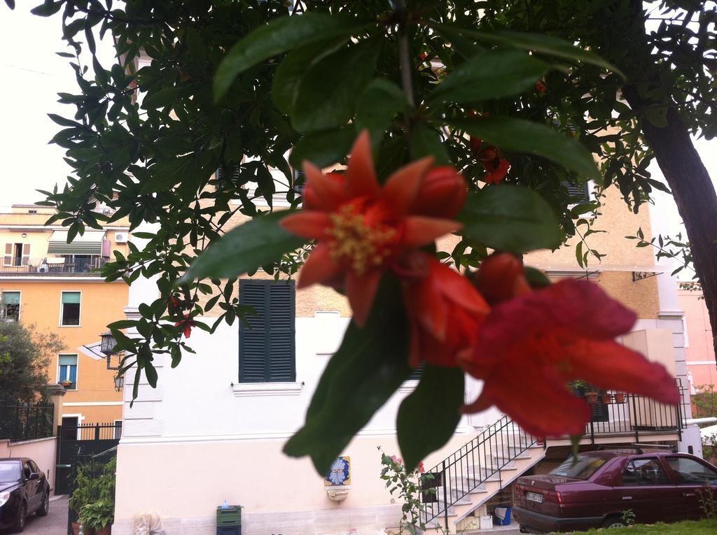 Aristocarli Acomodação com café da manhã Roma Exterior foto